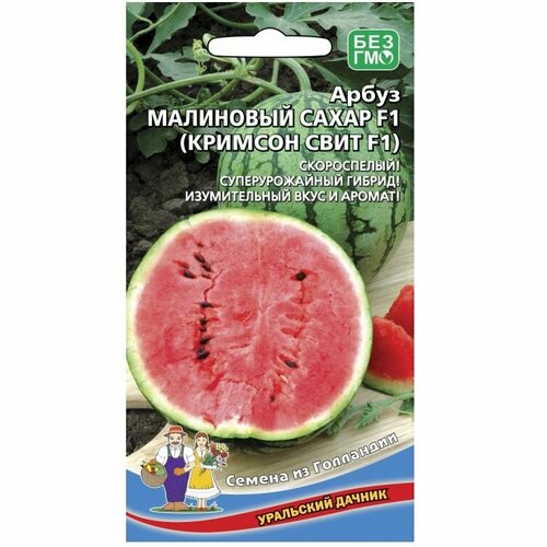 ���� ������ ����� ��������� ����� (������� ���� F1) 10�� ������ (��������� ������), ������ �� 42 ���