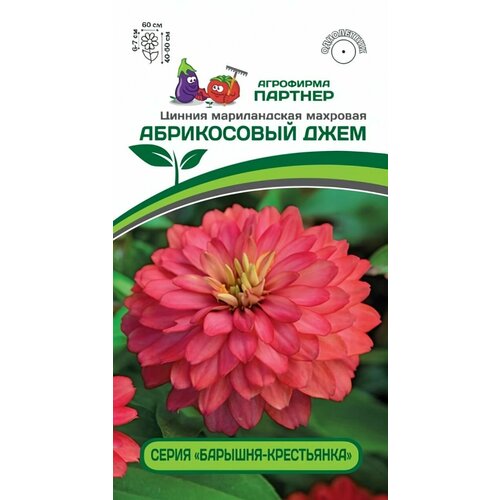 ���� ������ ������ ��������� ������� 