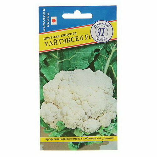 ���� ������ ������� ������� 