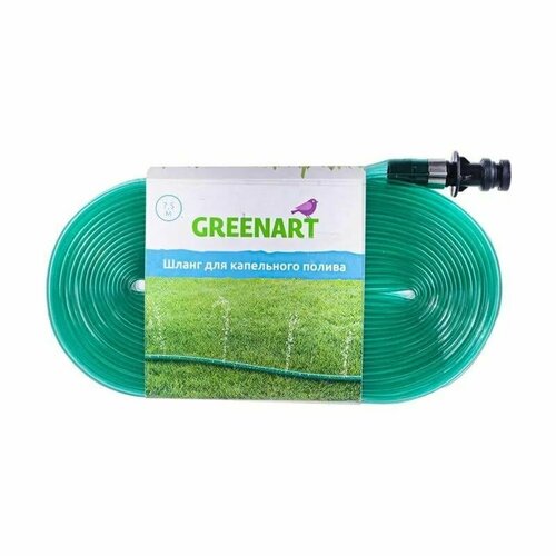 ���� ����� ��� ���������� ������ 