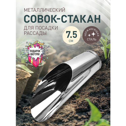 ���� ����� ��� ������ iulkapu, ������ �� 330 ���