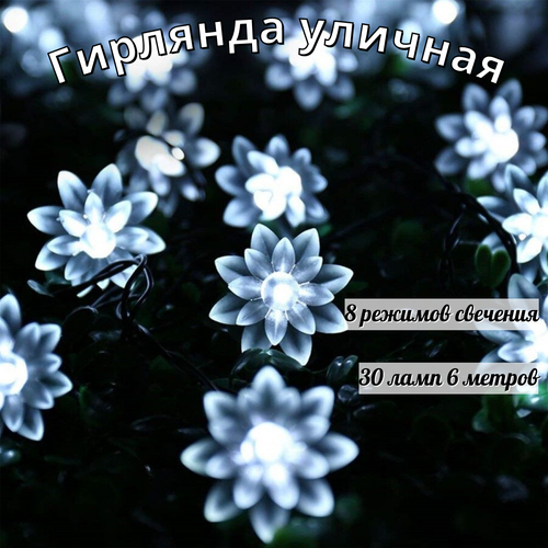 ���� ������������ �������� �� ��������� ������� 30 ���� 6,5 �����, ������ �� 790 ���