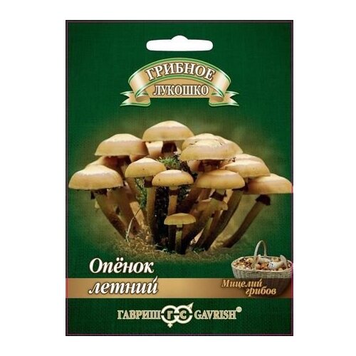 ���� ������� ������ ������ ������� ������� ������ ������ �� ��������� ������� 12 ��., ������ �� 269 ���