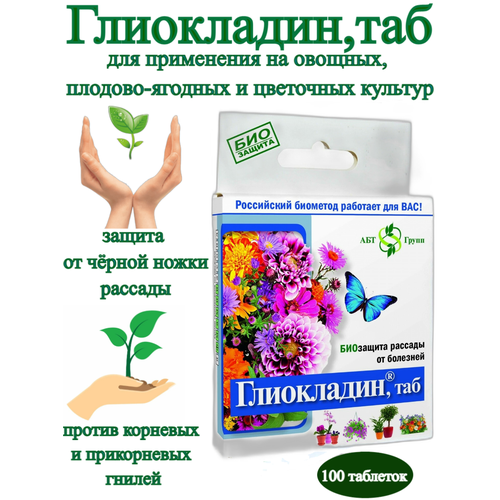 ���� ���������� - �������� ������ ������ ����� � �������� ����� ��� ������ � �������, ������ �� 145 ���