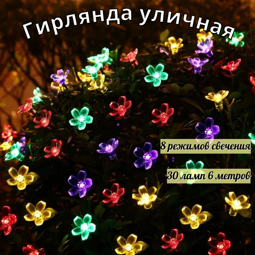 ���� ������������ �������� �� ��������� ������� 30 ���� 6,5 �����, ������ �� 790 ���