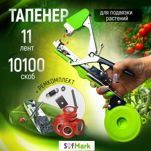      , 11 , 10000 ,   1974 