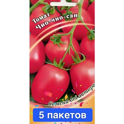 ���� ������ ������ ������ 