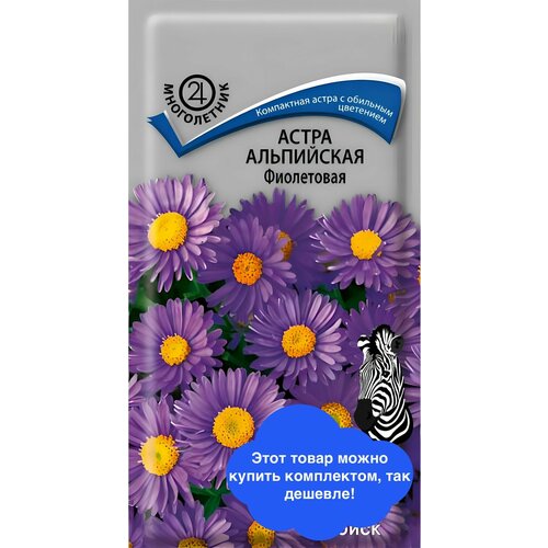 ���� ������ ������ ����� 