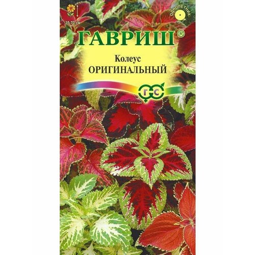 ���� ������ ������ 