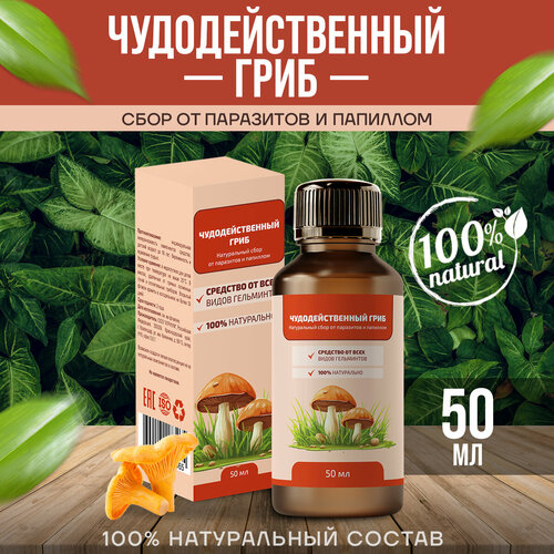 ���� ��������������� ���� �� ��������� � �������� ������ 50 ��, ������ �� 400 ���