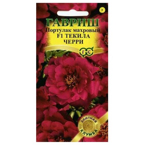 ���� ������ ������ ������� ������ �������� F1 ������ ����� 5 ��., ������ �� 262 ���