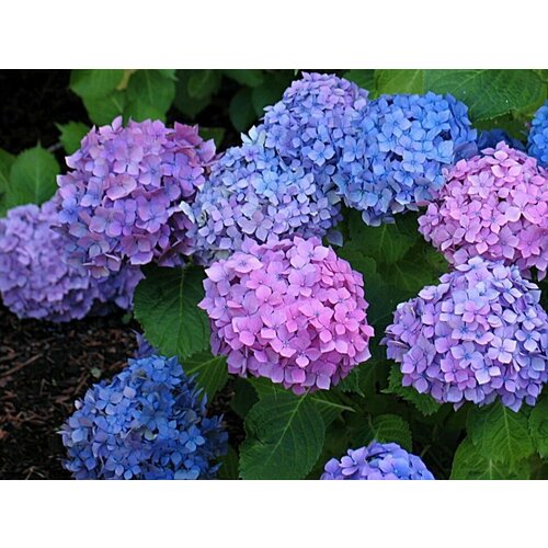 ���� ������� ��������� ������������� ������� ( 2 ���� , �2 , 10-20 �� ), ������ �� 1488 ���