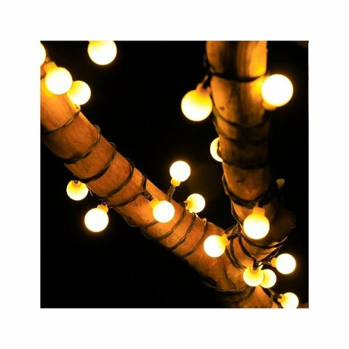 ���� ������� �������� �� ��������� ������� 