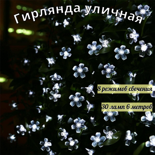 ���� ������������ �������� �� ��������� ������� 30 ���� 6,5 �����, ������ �� 790 ���