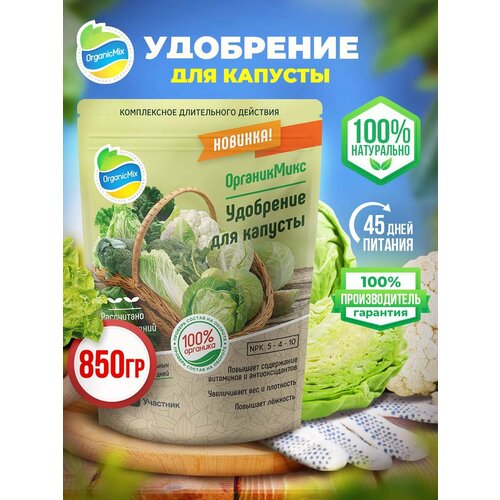 ���� ��������� ��� �������, ��������, ���������, ������������, ������ � ��������, ������ �� 444 ���