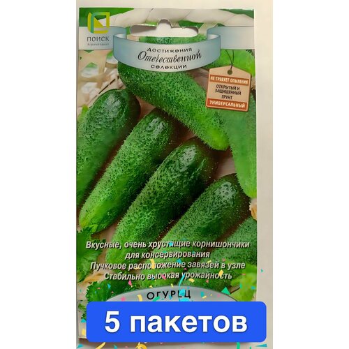 ���� ������ ������ ����� 