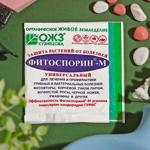 ���� ����������� �� ������������� � ������� �������� �������� ����������-�, 10 �, 9 ��., ������ �� 540 ���