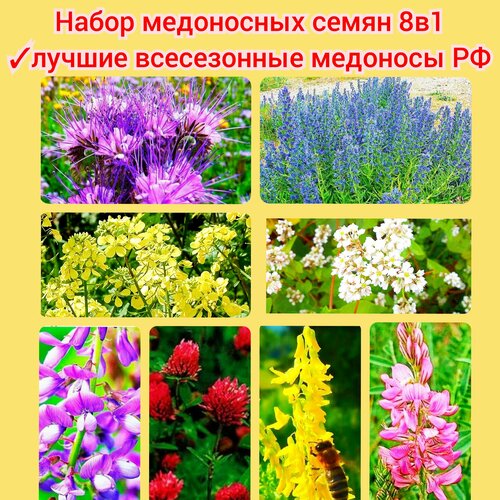 ���� ����� ���������� ����� 8�1 (800 ��) �������� ������� ����� ������ ��������� ������ ������� ������� �������, ������ �� 2863 ���