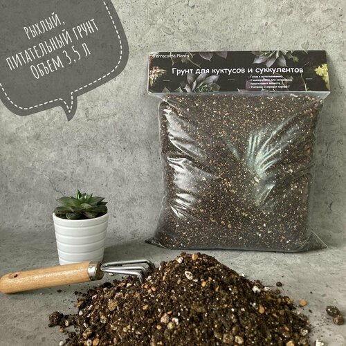 ���� ������� ����� ��� ���������� � �������� Terracotta Plants � �������� 3,5 �����, ������ �� 439 ���