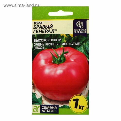 ���� ������ ����� 