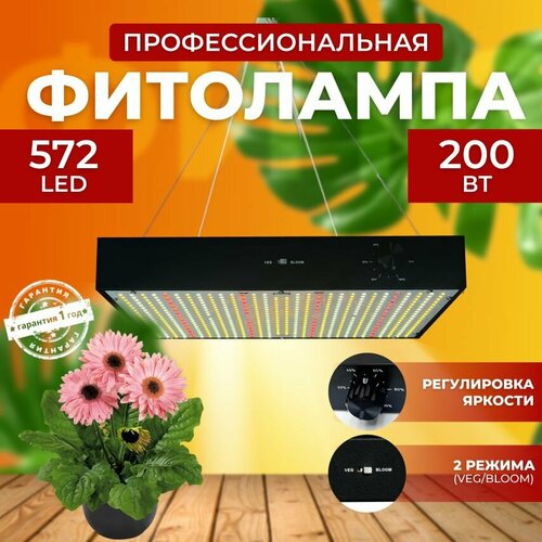 ���� ��������� ��� ����������� �������� ������� ������ ������, ���������������� �������������� ������������ Quantum board, ����� ��������� ��� ������ � �������� 200 ����, ������ �� 10500 ���