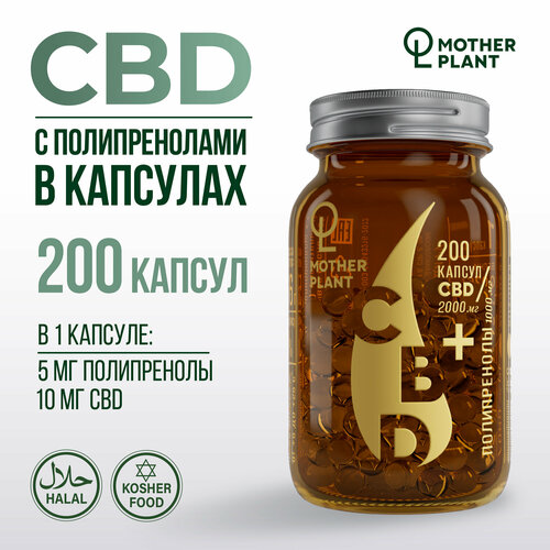 ���� ����� CBD � ������������� � �������� (200 ������ �� 10 ��), Motherplant, ������ �� 5400 ���