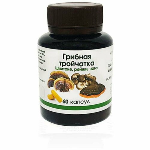 ���� ������� ��������� (�����, �������, ����) � �������� 60 ��, ������ �� 1000 ���