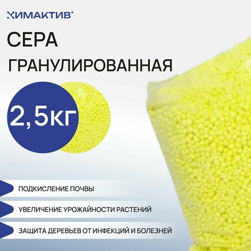 ���� ���� ��������������� 2,5 �� , ��� ��������, ��������, ��������� ��������, ������ �� 883 ���