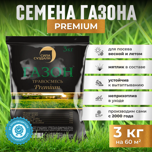 ���� ������ �������� ����� 