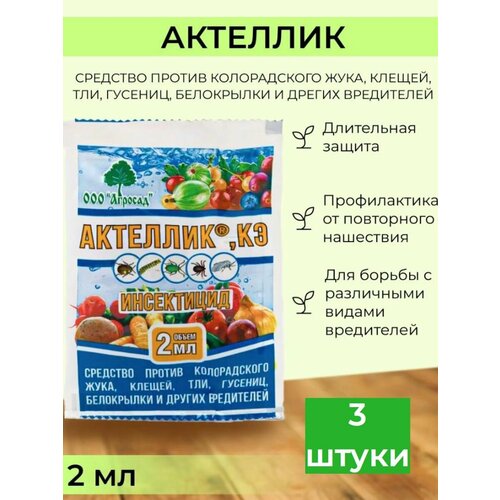 ���� �������� ������ �������� �������� 3 ��, ������ �� 300 ���