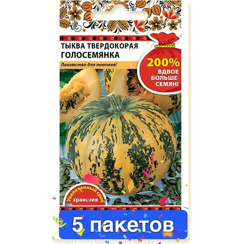 ���� ������ ������ ������� ������ 