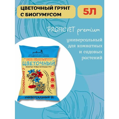 ���� ����� ��������� 