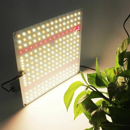     Samsung LM281B 65 /quantum board/  /  QBC 600,   3100 