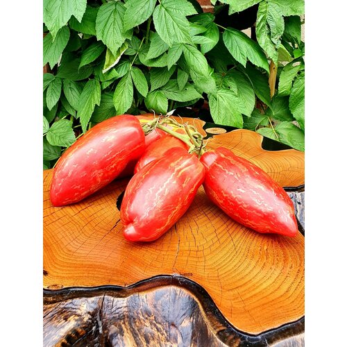 ���� ������ ������ �������� ���� (Fuego Rosa) / Seeds And Goods / � �������� zip-lock ��� ���������� 10 �����, ������ �� 249 ���