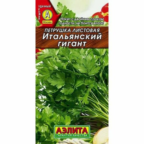 ���� ������ �������� �������� ����������� ������ ��. (������) 2�, ������ �� 41 ���