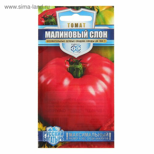 ���� ������ ����� 