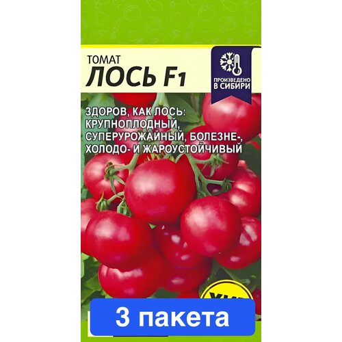 ���� ������ ������ ������ ����� 