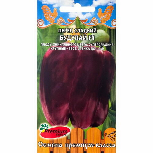 ���� ������ ����� 