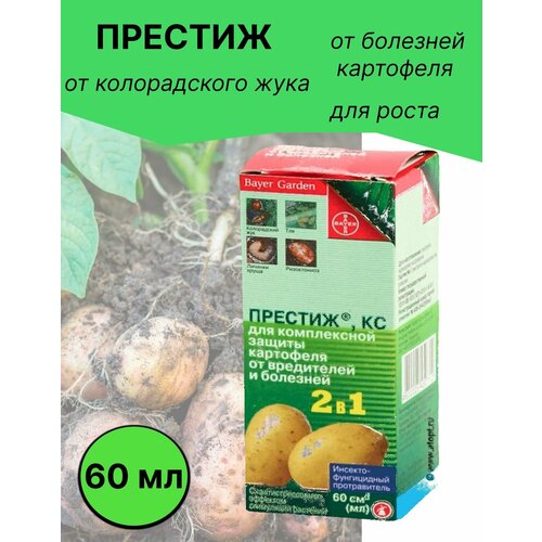 ���� ������� �� ��� ��������� 60 ��, ������ �� 400 ���