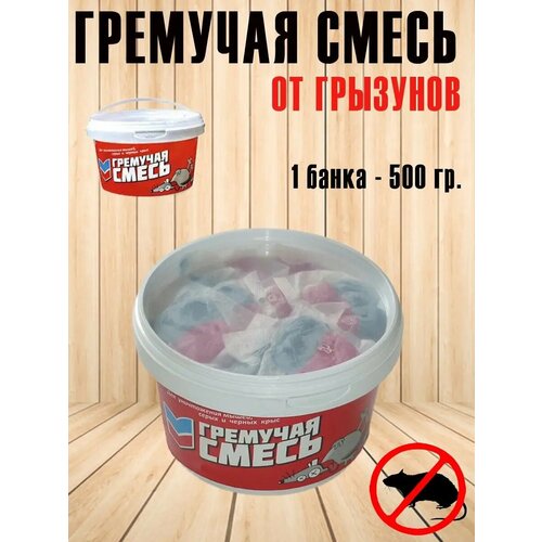 ���� �����-������� �� �������� 