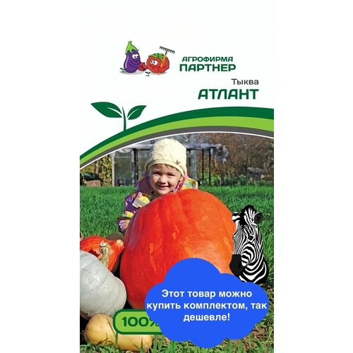 ���� ������ ������ ������� 