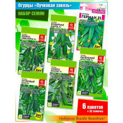    : -,  , ,  ,  ,      (6 ),   716 