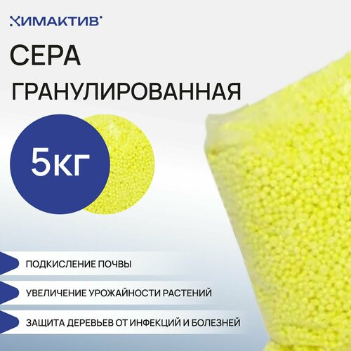 ���� ���� ��������������� 5 �� , ��� ��������, ��������, ��������� ��������, ������ �� 1768 ���