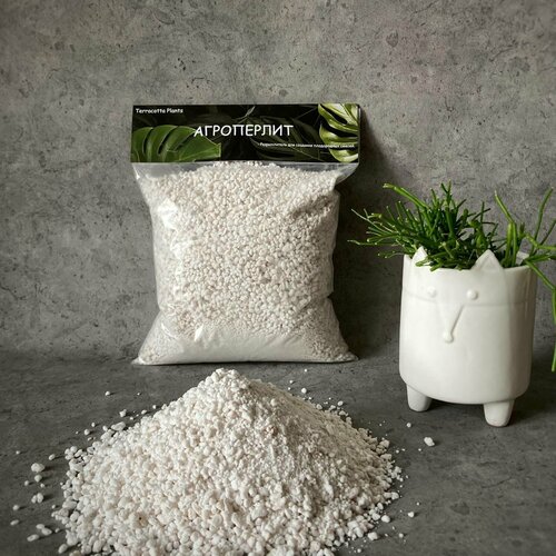 ���� ������ ��� �������� Terracotta Plants 2 ����� ������������ ��� ������, ������ �� 339 ���