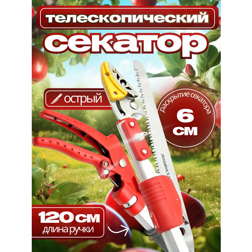 ���� ������� ��������������� ��� ��������, �������� �������, ������ �� 3285 ���