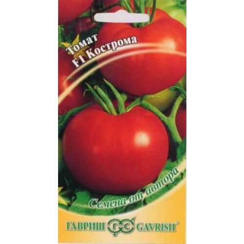 ���� ������ ����� �������� F1 12�� ������� (������) �����, ������ �� 59 ���