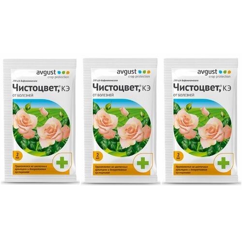 ���� Avgust �������� �� �������� �������� ���������, ��, 2 ��, 0.2 �, 3��., ������ �� 213 ���