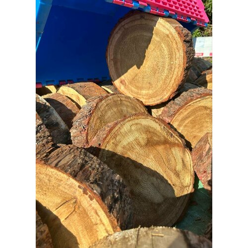 ���� ���� 1 �� ����������� ������ 30 �� ������� 9-10 �� ���������, ������ �� 850 ���