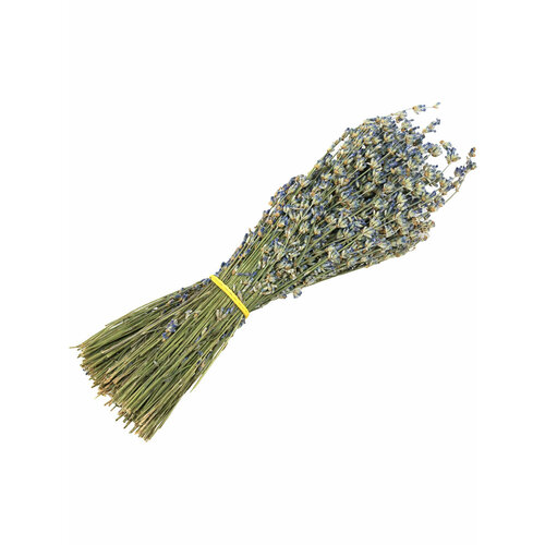     ,  ,  ,  2024,   471 