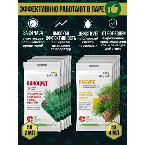 ���� �������� �� �������� � ���������� ������� �������� ������ 4 �� + ������� 2 ��, ����� 10 ��, ������ �� 1069 ���